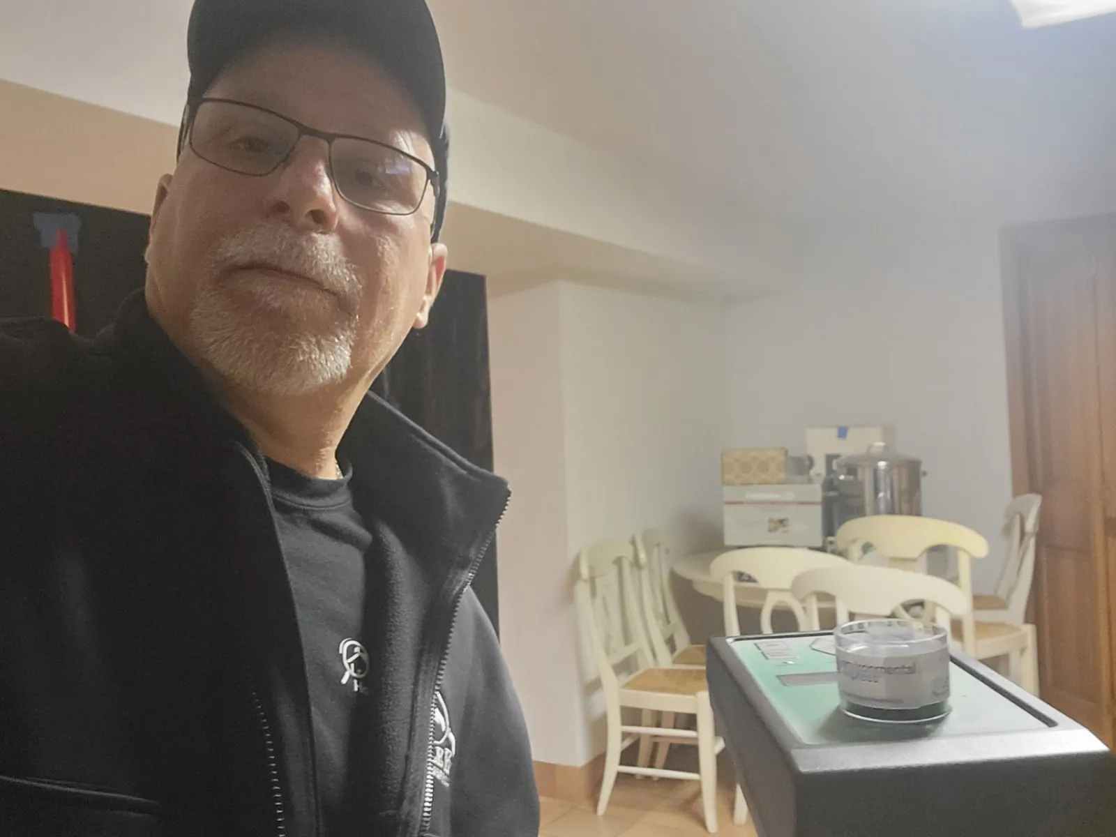 Mold Inspection